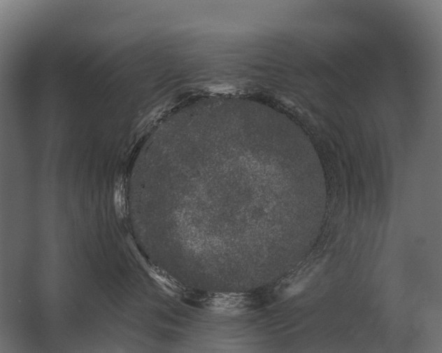 X0000062790720200512290222