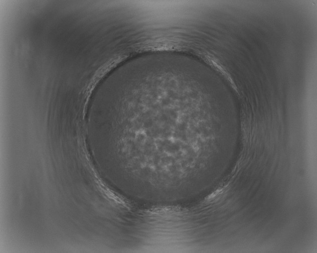 X0000062790721200512290222