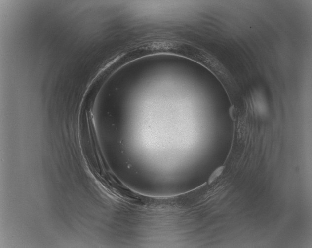 X0000062790722200512290222