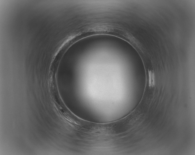 X0000062790723200512290222