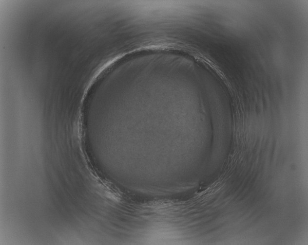 X0000062790724200512290222