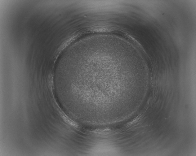 X0000062790725200512290222