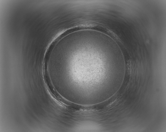 X0000062790726200512290222