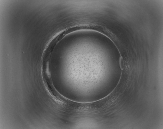 X0000062790728200512290222