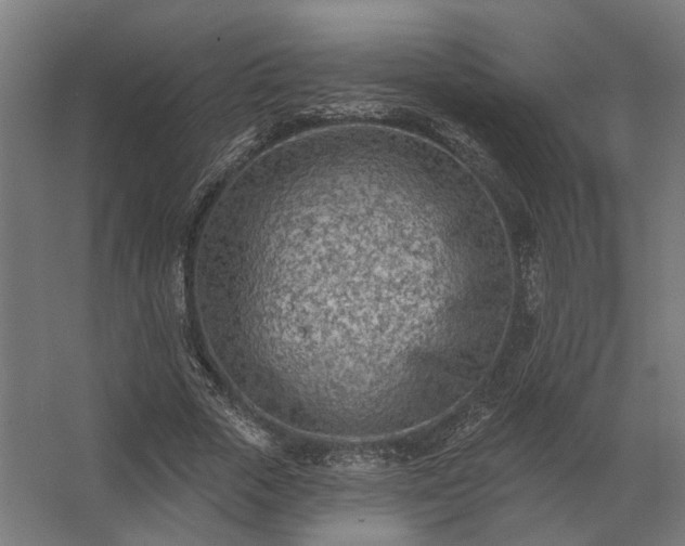 X0000062790729200512290222