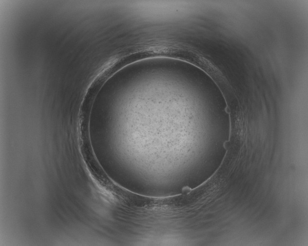 X0000062790730200512290222