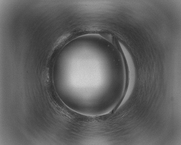 X0000062790731200512290222