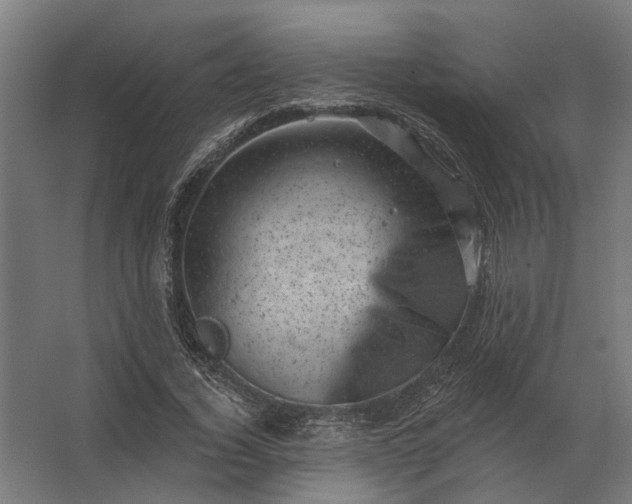 X0000062790732200512290222