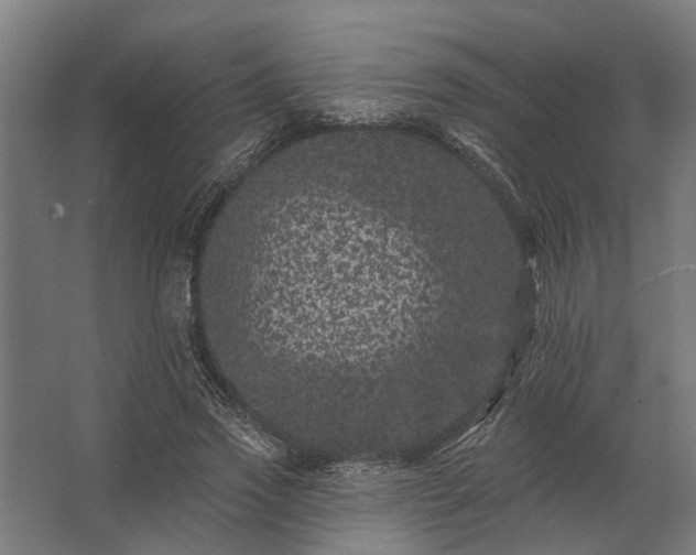 X0000062790733200512290222