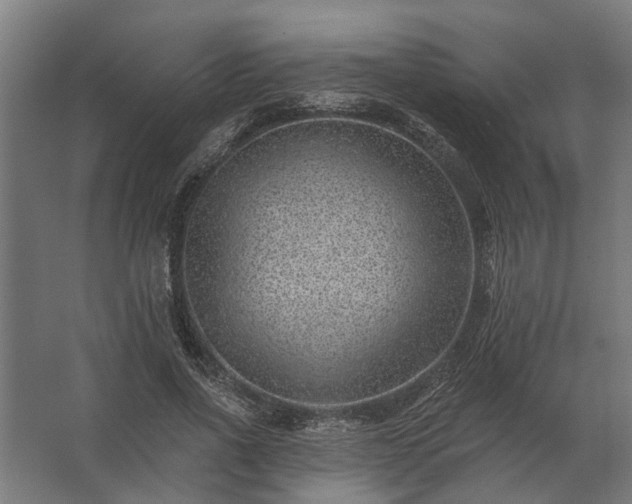 X0000062790734200512290222