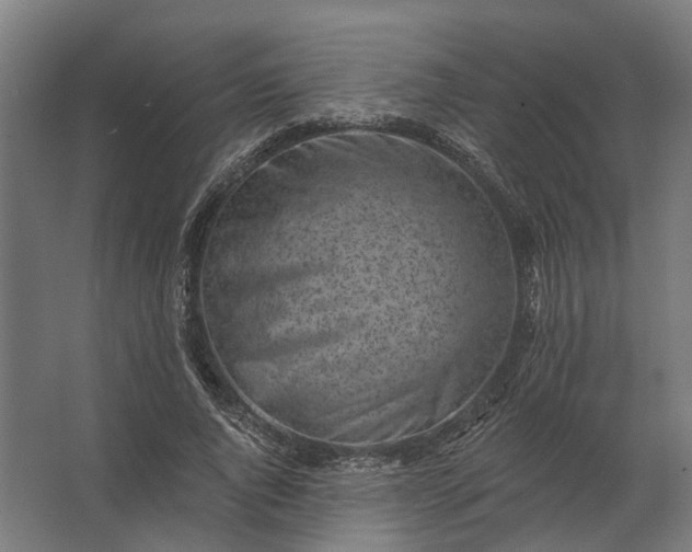 X0000062790736200512290222