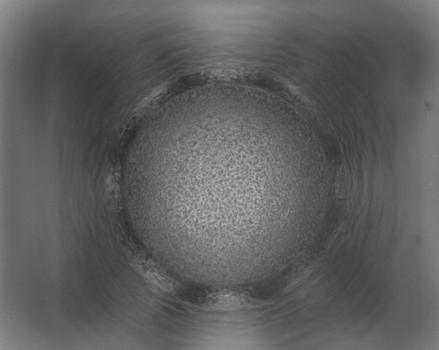 X0000062790737200512290222