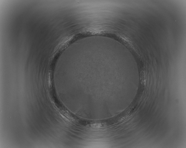 X0000062790740200512290222