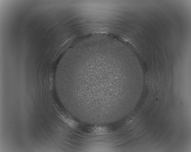 X0000062790741200512290222