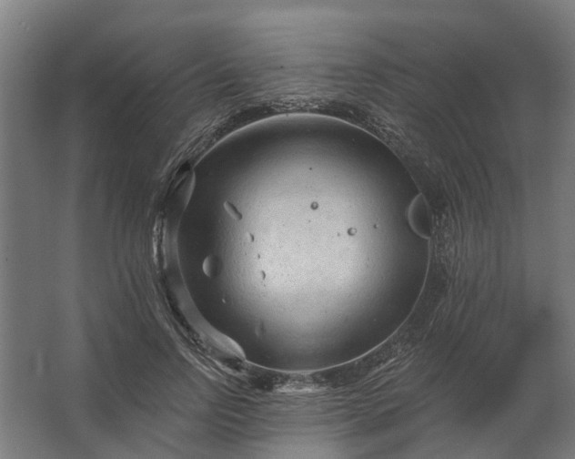 X0000062790742200512290222