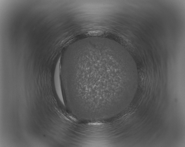 X0000062790745200512290222