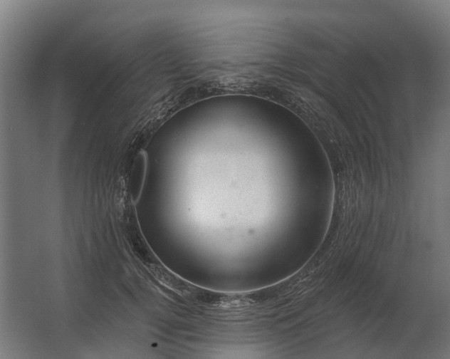 X0000062790752200512290222