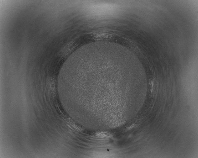 X0000062790753200512290222