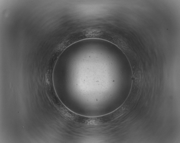 X0000062790755200512290222