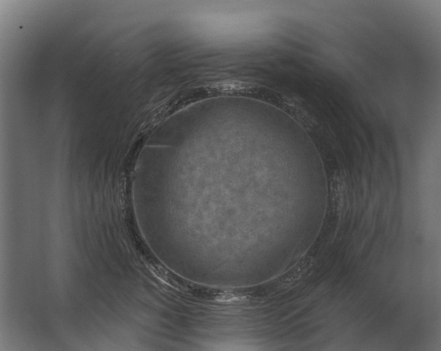 X0000062790760200512290222