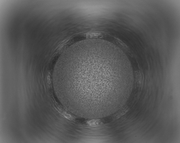 X0000062790761200512290222