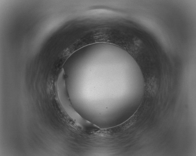 X0000062790763200512290222