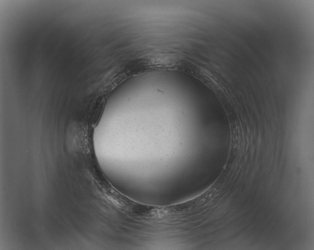 X0000062790764200512290222