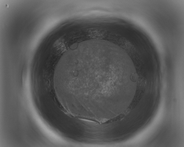 X0000062790765200512290222