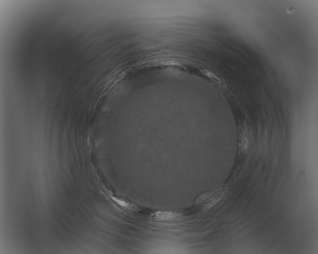 X0000062790766200512290222