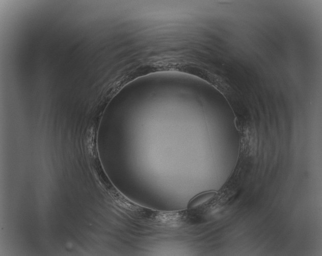 X0000062790767200512290222