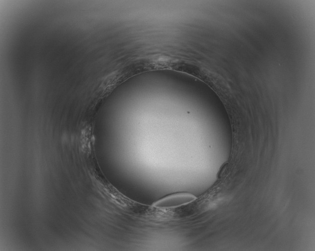 X0000062790768200512290222