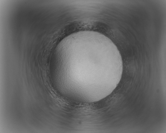 X0000062790769200512290222