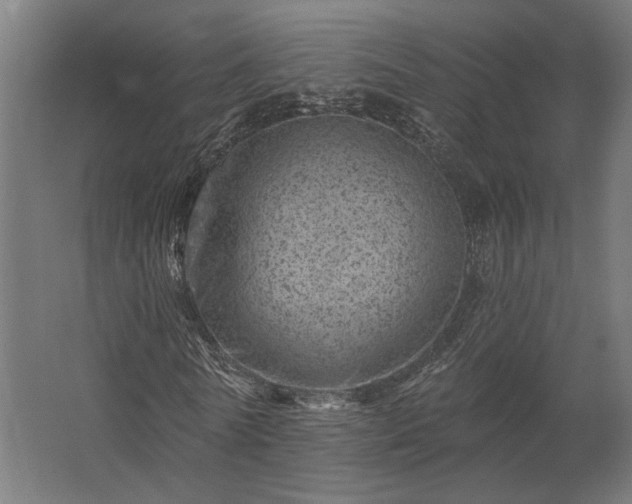 X0000062790770200512290222