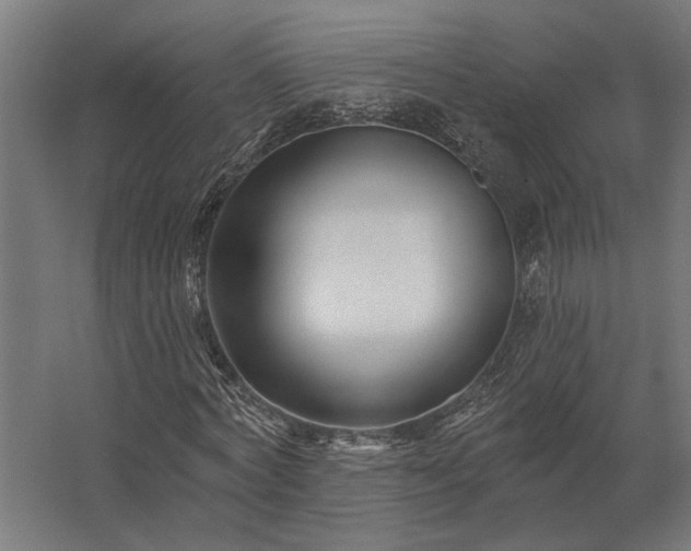 X0000062790772200512290222