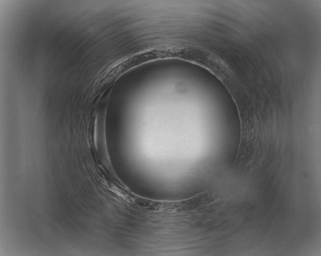 X0000062790773200512290222