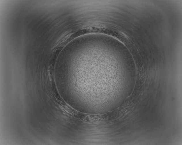 X0000062790774200512290222