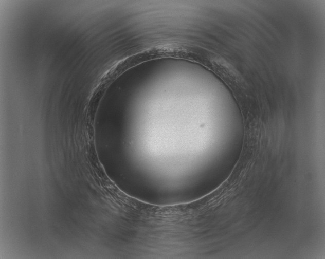 X0000062790776200512290221