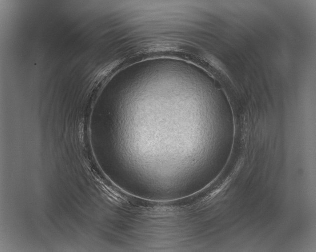 X0000062790777200512290221