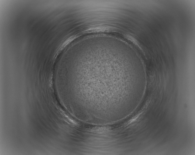 X0000062790778200512290221