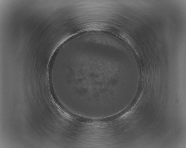 X0000062790779200512290221