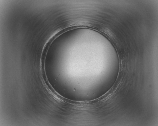 X0000062790780200512290221