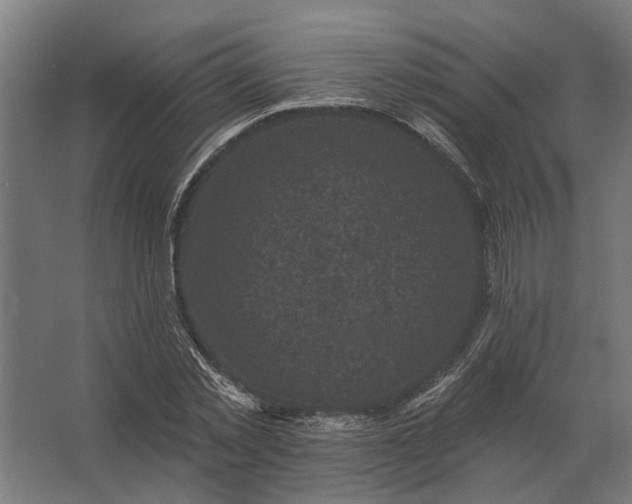 X0000062790781200512290221