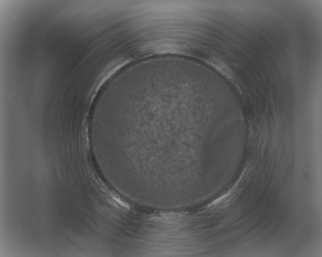 X0000062790782200512290221