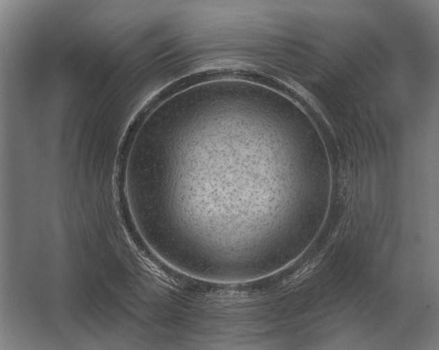 X0000062790783200512290221