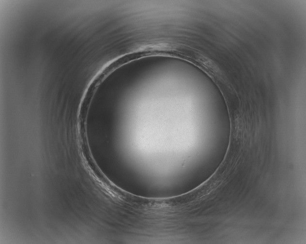 X0000062790784200512290221