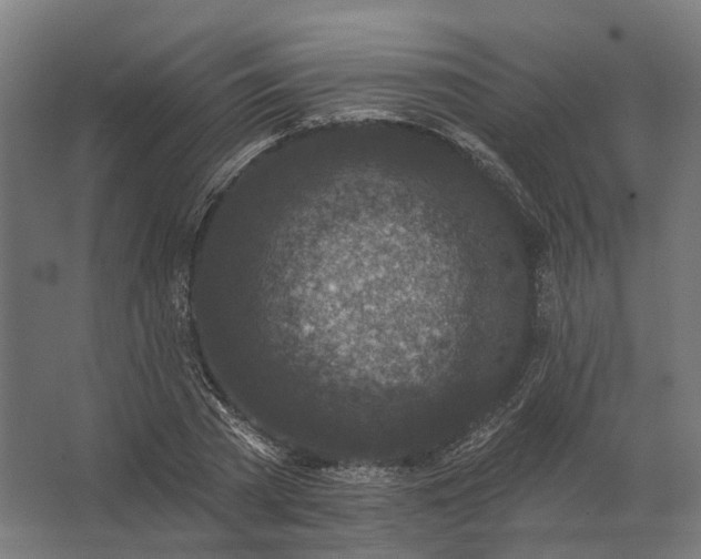 X0000062790785200512290221