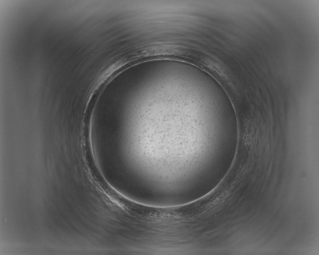 X0000062790786200512290221