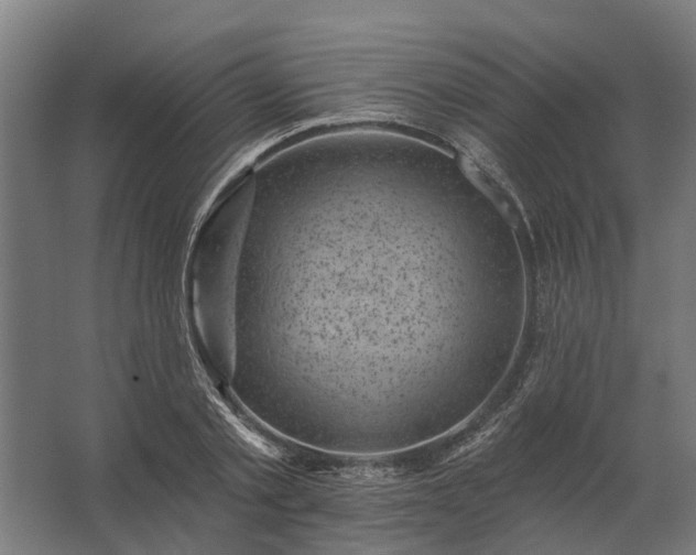 X0000062790789200512290221