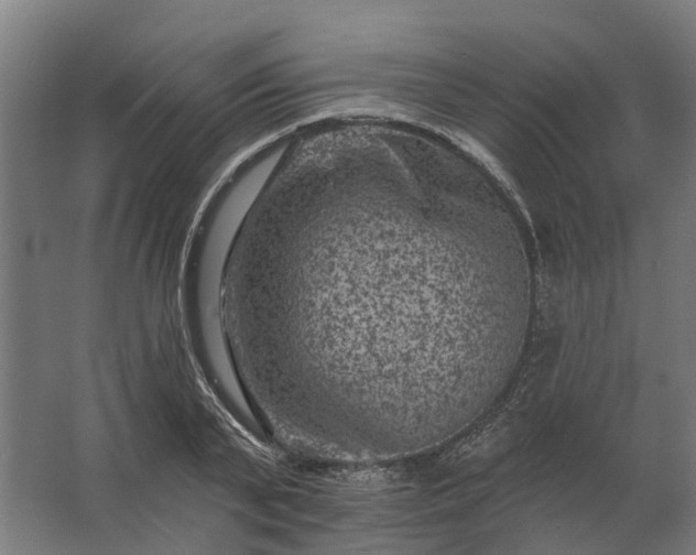 X0000062790791200512290221