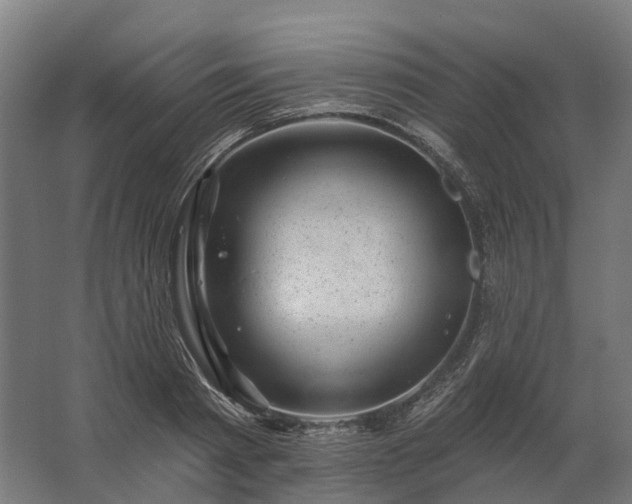 X0000062790793200512290221